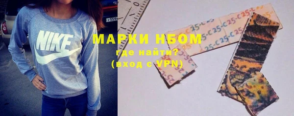 гашик Елизово