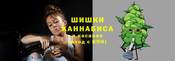 гашик Елизово