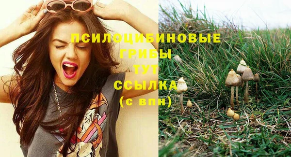 гашик Елизово