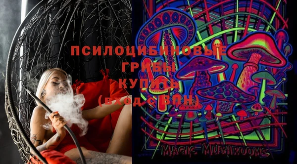 гашик Елизово