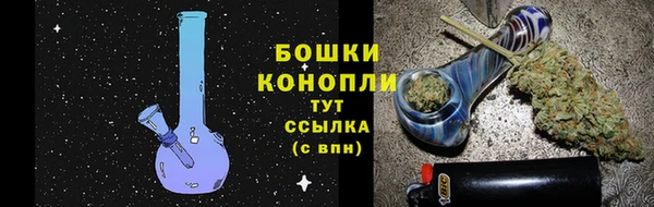 spice Елабуга