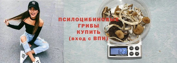 spice Елабуга