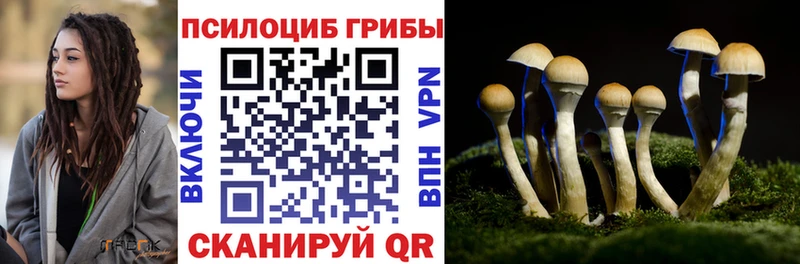 Псилоцибиновые грибы мухоморы  Купить где  Ейск 